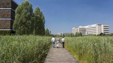 Bedrijventerrein vergroenen