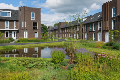 Wadi met bloemenborder in woonwijk