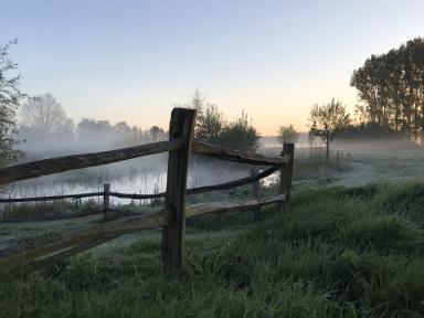 Landschapstuin Nico Wissing