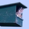 Product afbeelding 5967
